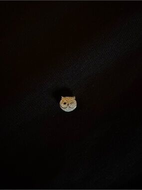 Pandora Silver Owl Charm Pin